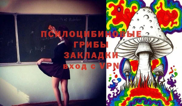 2c-b Белоозёрский