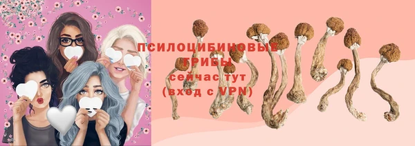 соль курить ск Белокуриха