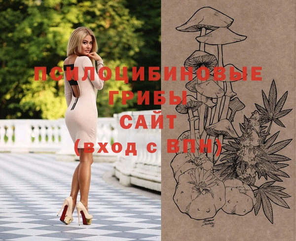PSILOCYBIN Беломорск