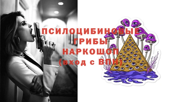 соль курить ск Белокуриха