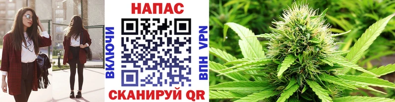 купить наркотик  Шахунья  Бошки марихуана план 